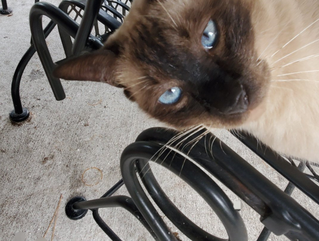 True Blue Winery-达文波特必去景点