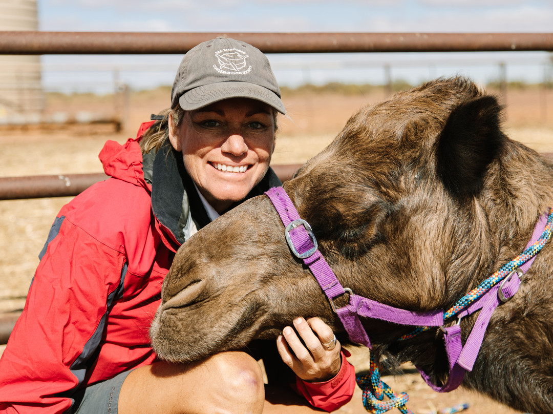 Camel Treks Australia景点图片