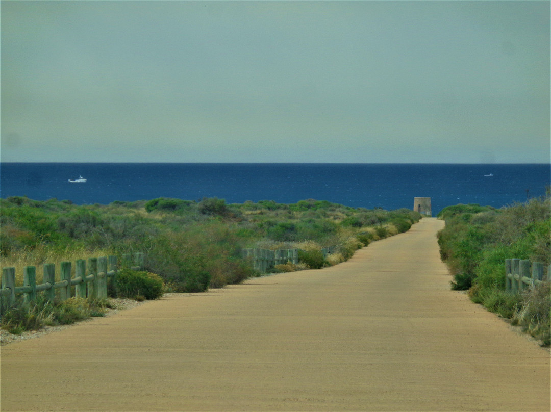 Torre Garcia-加塔角必去景点