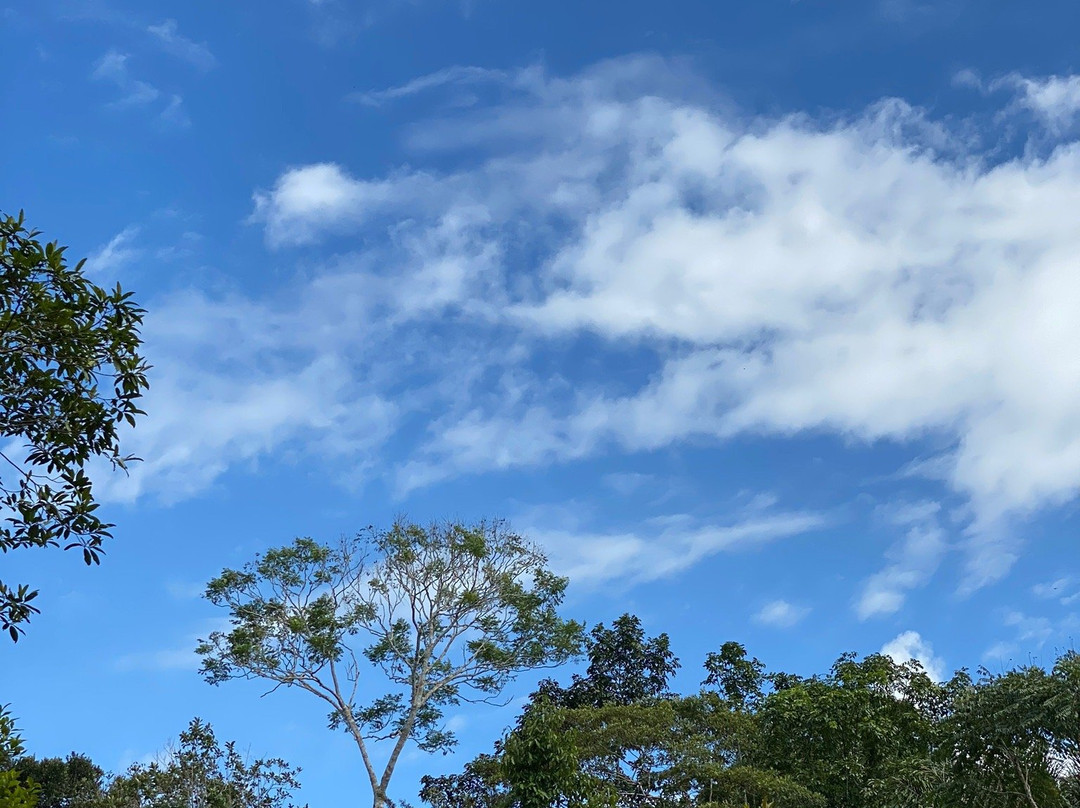 Varillal旅游攻略图片