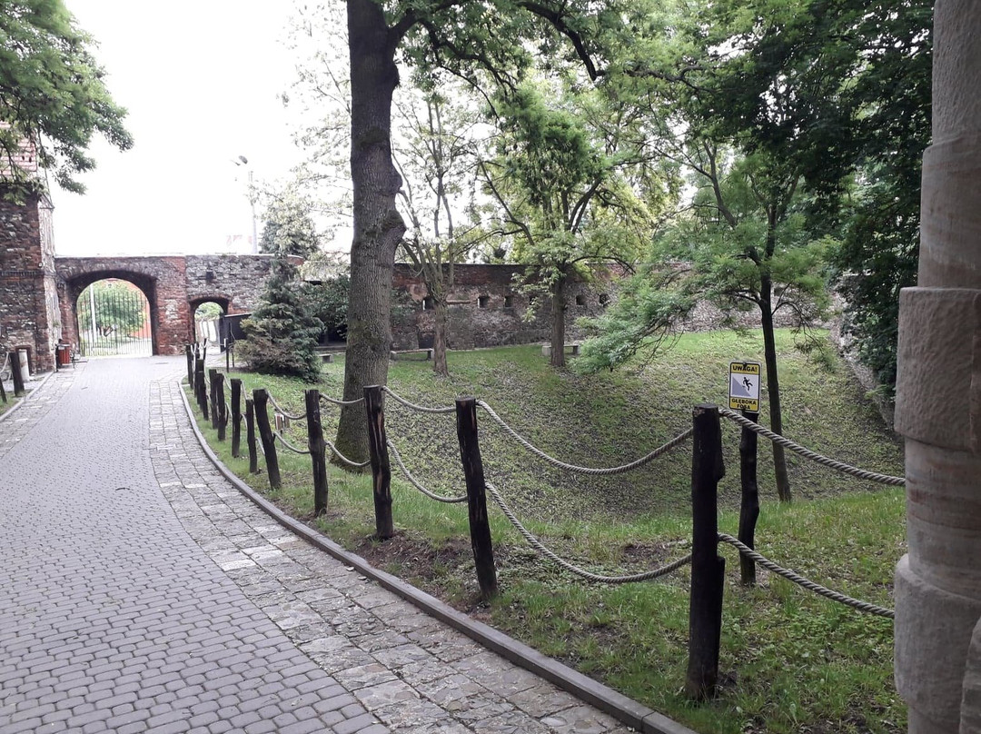 Toszek Castle-Toszek必去景点
