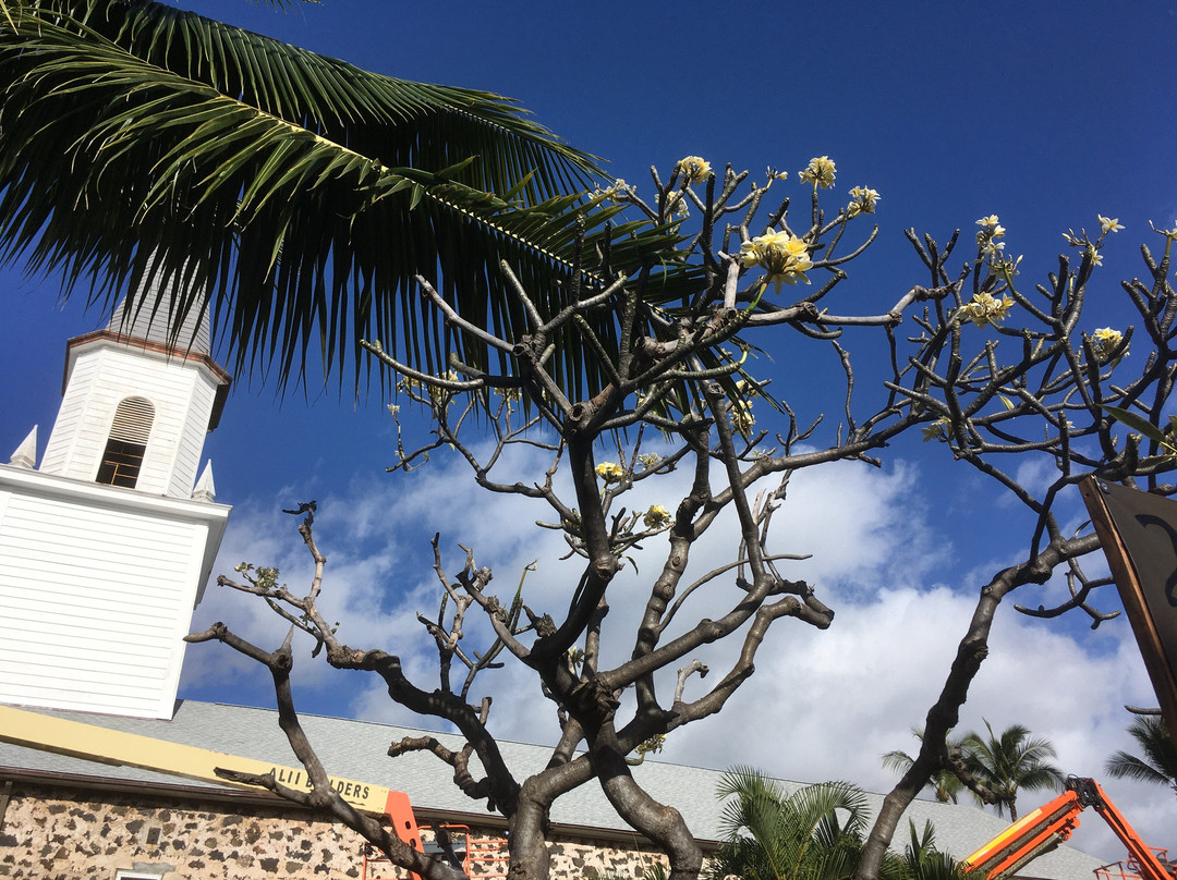 摩库阿伊卡瓦教堂-凯鲁瓦-柯纳必去景点