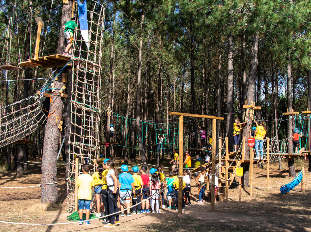 Parque Aventura São Jorge景点图片