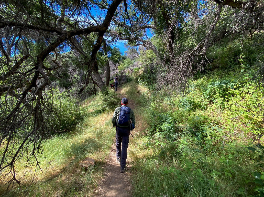 Placerita Canyon Nature Center景点图片