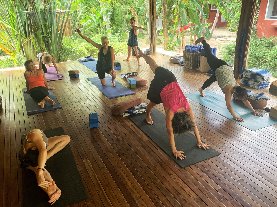 Luna Yoga - Playa Grande-大滩必去景点