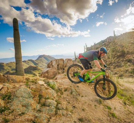 Sightseeing Bike Tours-图森必去景点