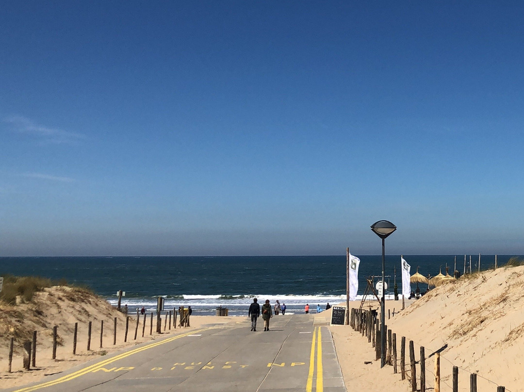 Honden strand Noordwijk景点图片