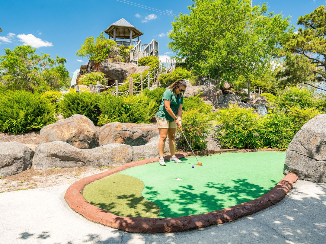 The Golfin Dolphin景点图片