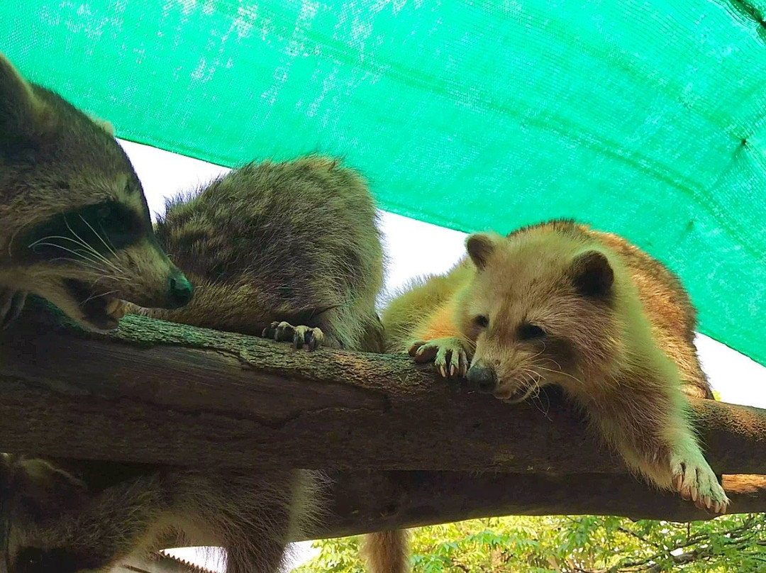 Farm In The City-雪州必去景点
