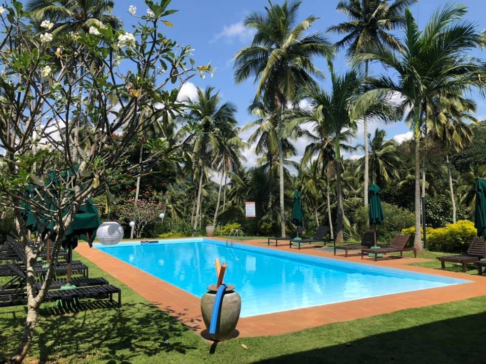 Jim's Farm Villas-泳池
