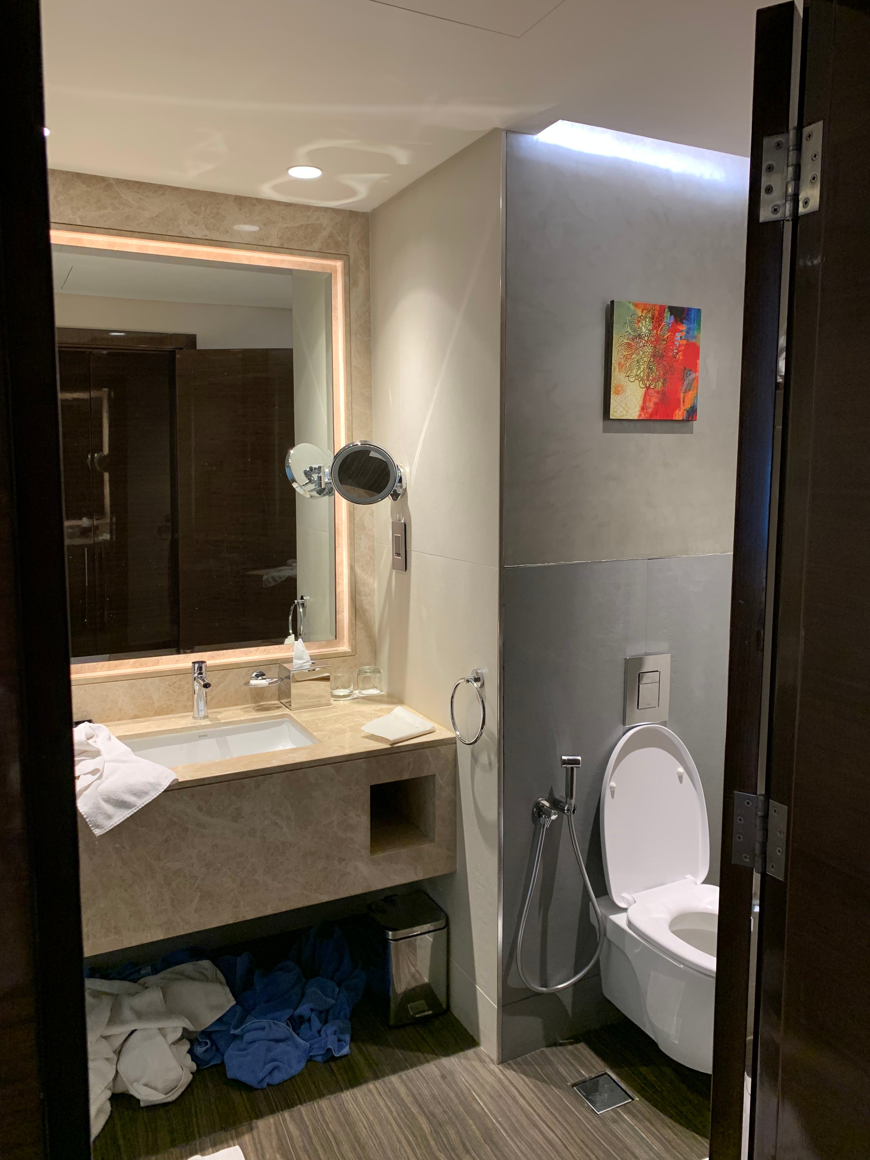 Radisson Blu Hotel, Ajman-portrait