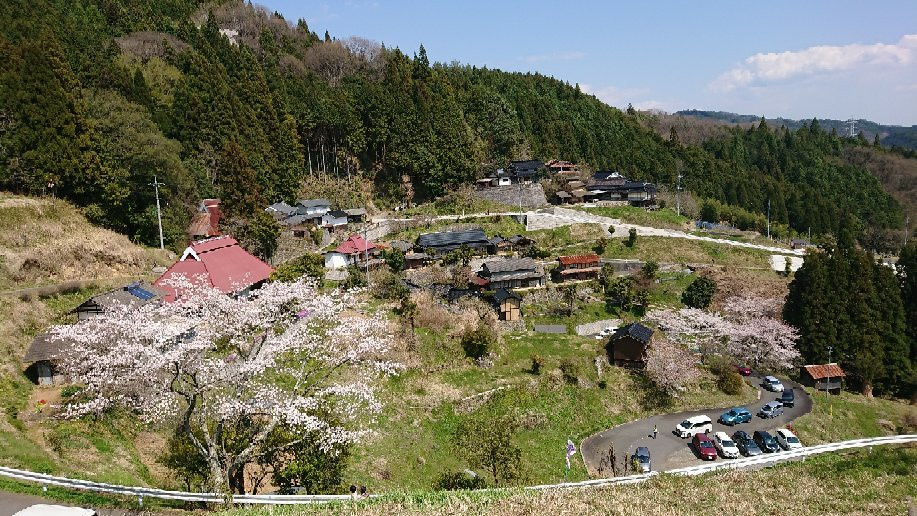 Daigo Zakura景点图片