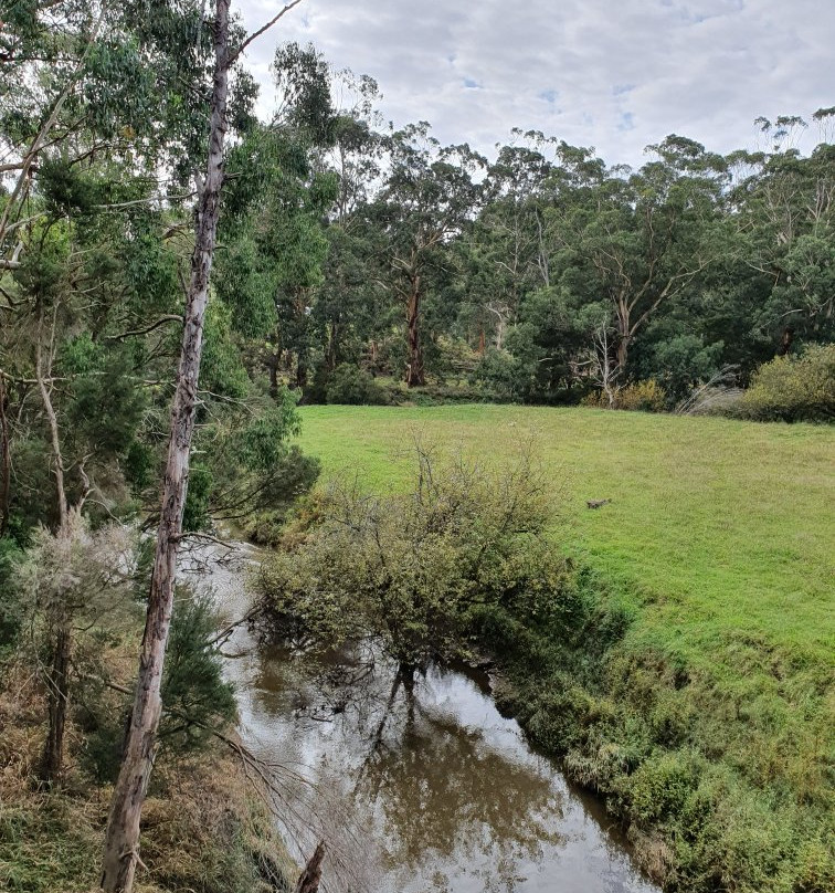 Great Southern Rail Trail-Leongatha必去景点