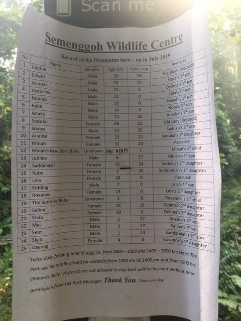 实蒙古野生动物护育中心-Siburan必去景点