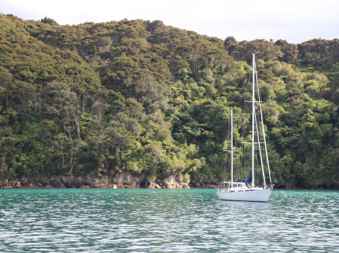 Tonga Island Marine Reserve-Abel Tasman National Park必去景点