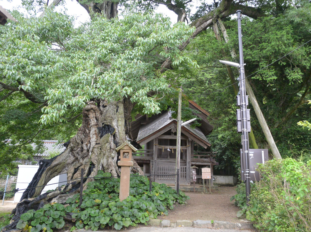 Inochinushi no Yashiro景点图片