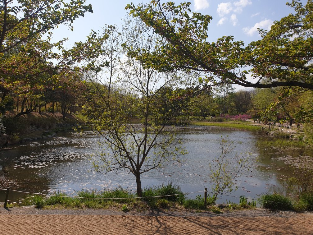 Mulhyanggi Arboretum-乌山市必去景点