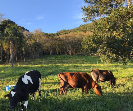 Pe do Morro-Cabreuva必去景点