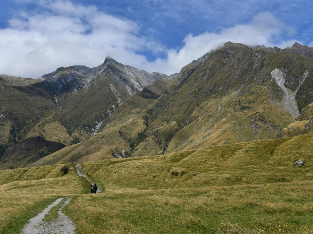 West Matukituki Track景点图片