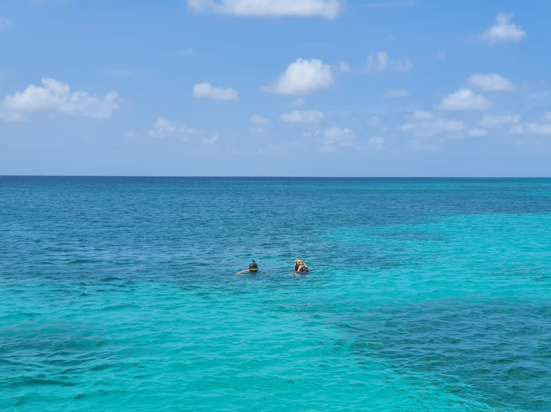 Sailing Charter Flying Fishbone II-萨瓦内塔必去景点