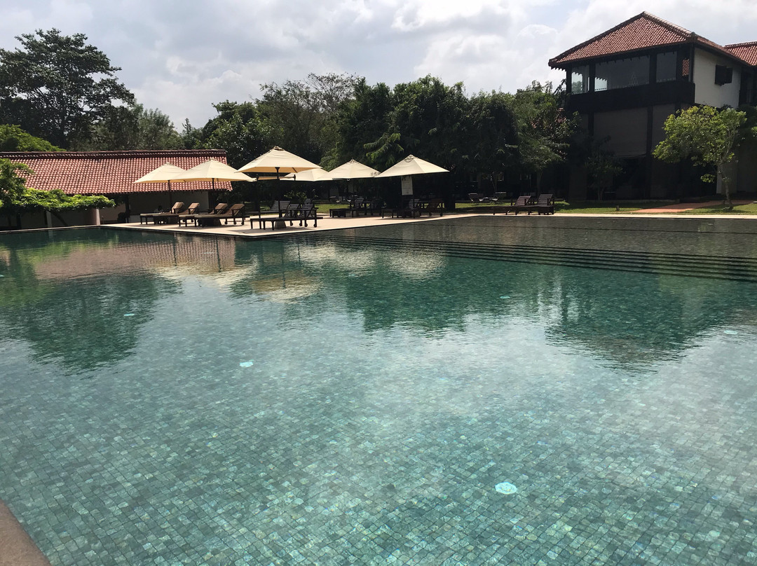 Sigiriya Jungles主图