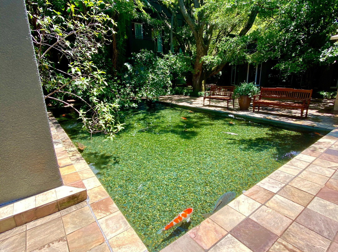 撒克逊水疗别墅主图