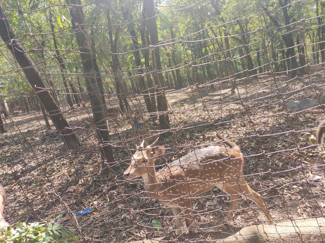 Banpukuria Deer Park-Mukutmanipur必去景点
