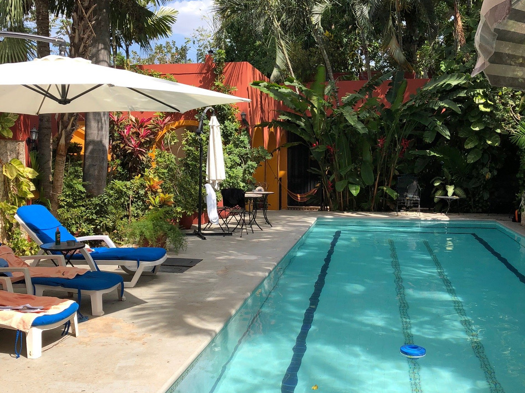 Casa Tres Colibries主图