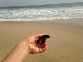 Barra de Coyuca-阿卡普尔科必去景点