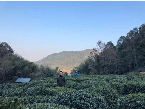 北高峰-杭州市必去景点