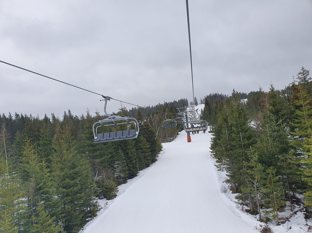 Romme Alpin Ski Lodge主图