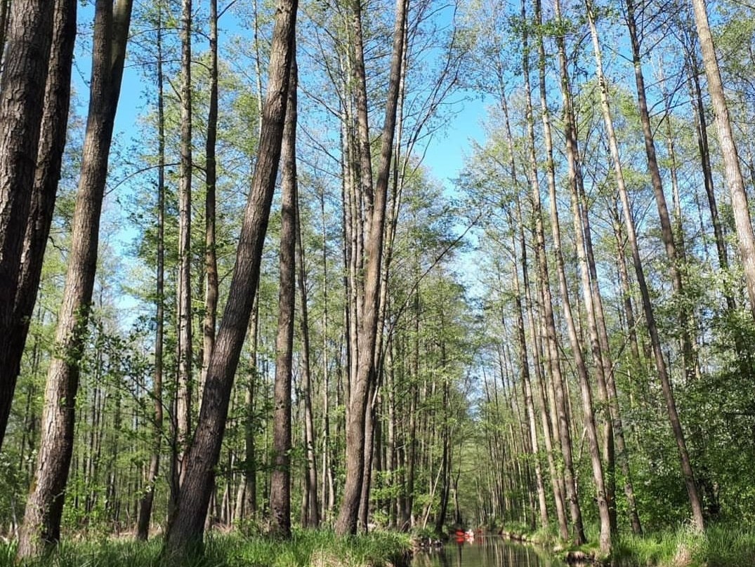 Kahnfahrten in Neu Zauche景点图片
