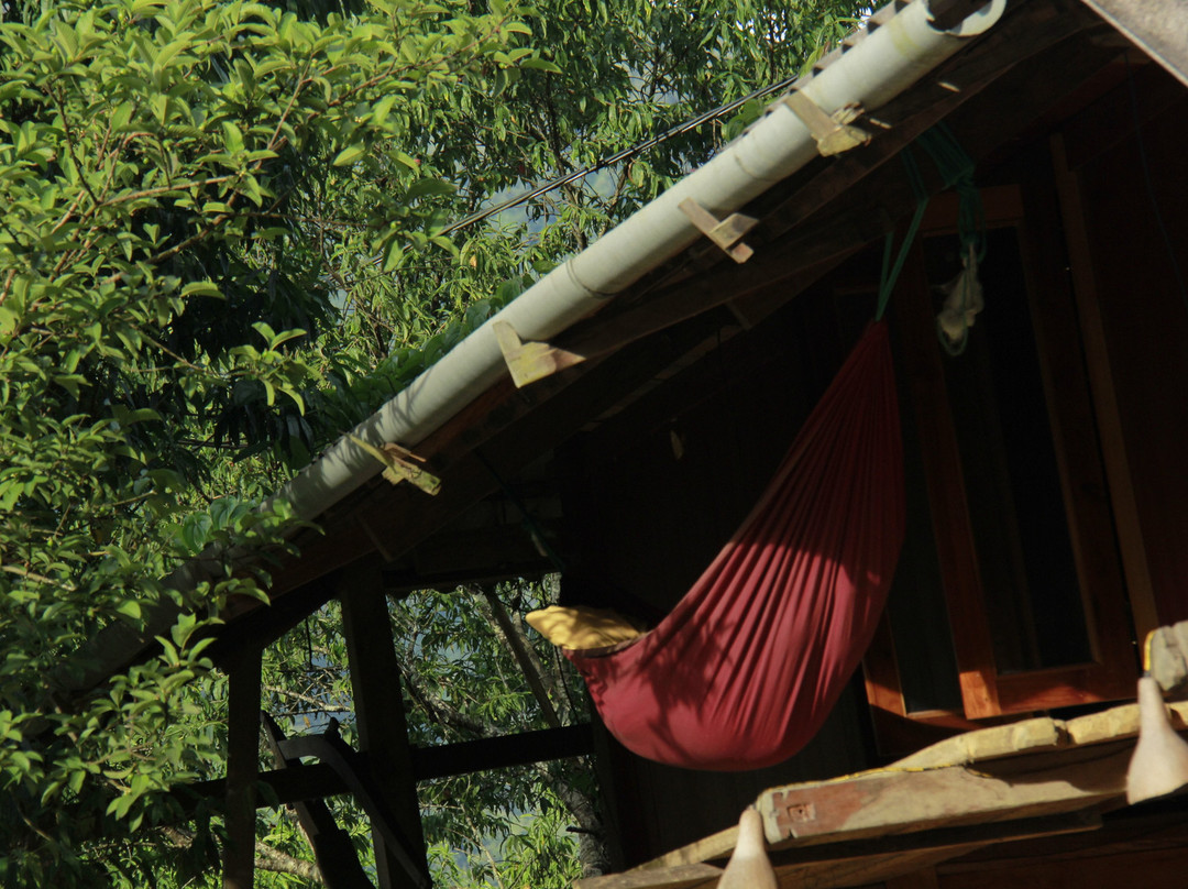 Lazy Crazy Homestay主图