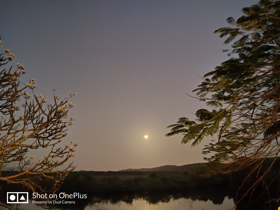 Indy Waterfront Resort主图