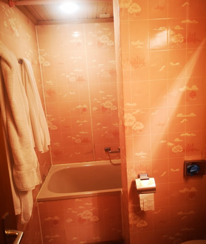 Hotel des Alpes主图
