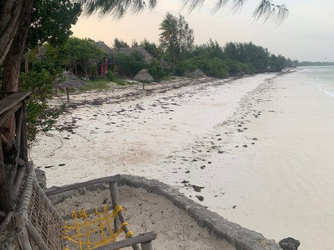 Pakachi Beach Hotel主图