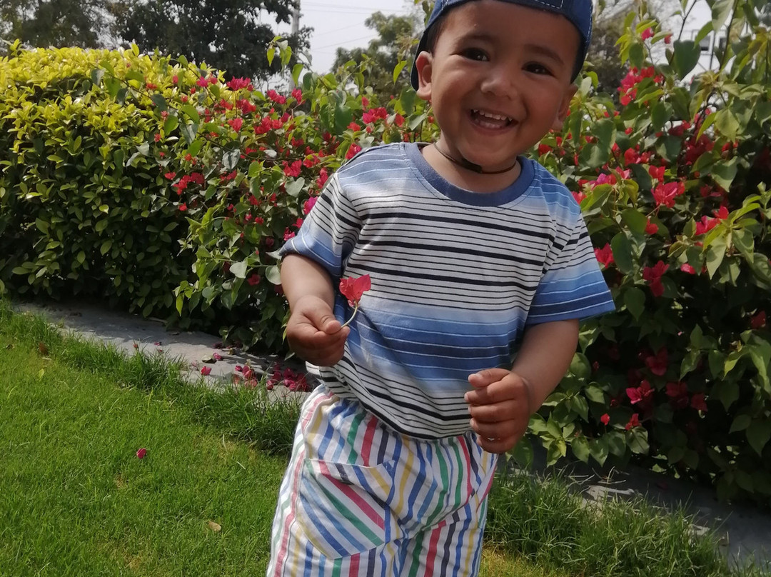 The Chitvan Resort主图