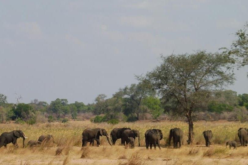 Victoria Falls Adventures-李文斯顿必去景点