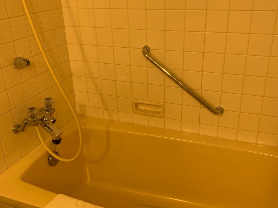 Ooedo Onsen Monogatari Hotel Reoma No Mori主图
