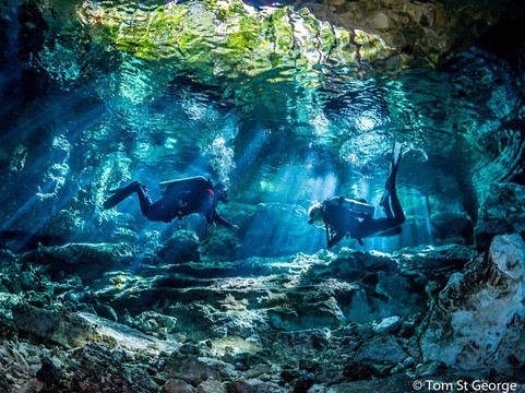 La Calypso Dive Center-图伦必去景点