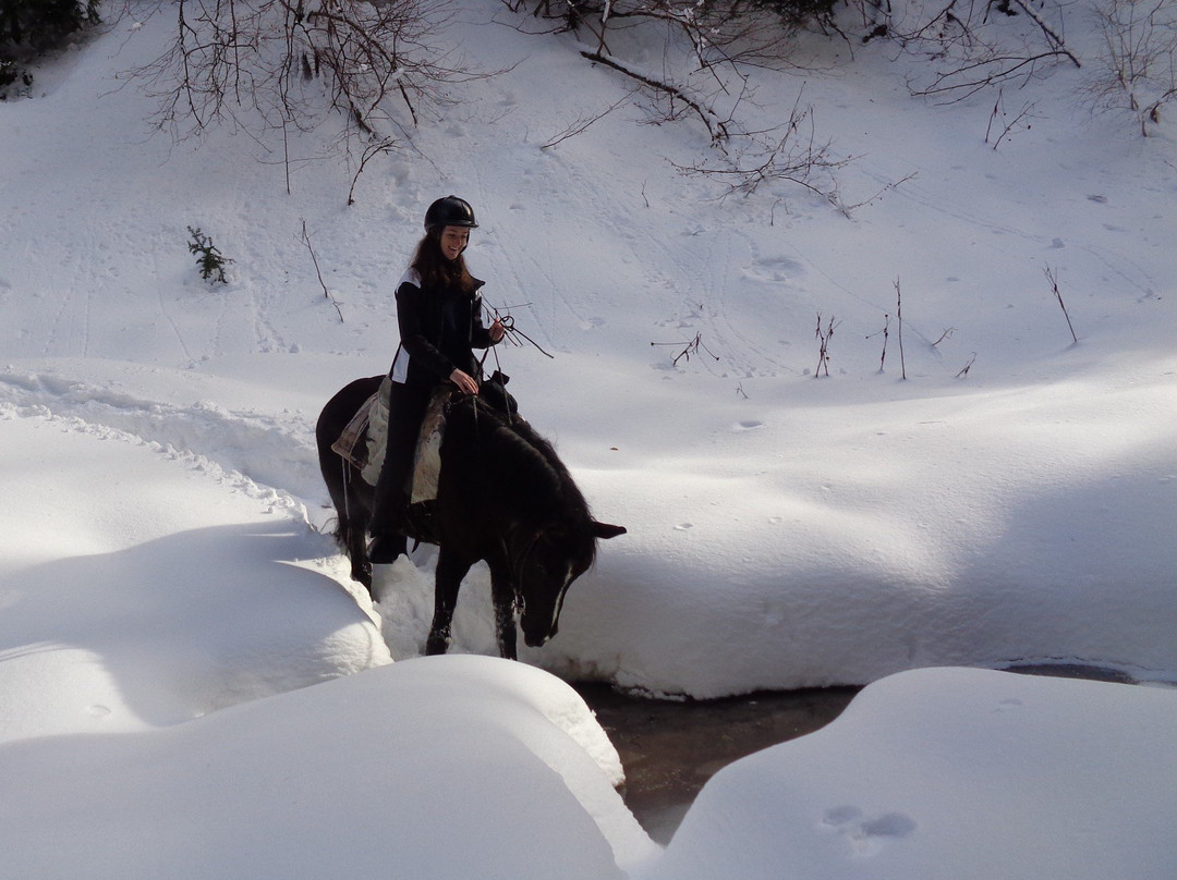 Bulgaria on Horseback-波罗维兹必去景点
