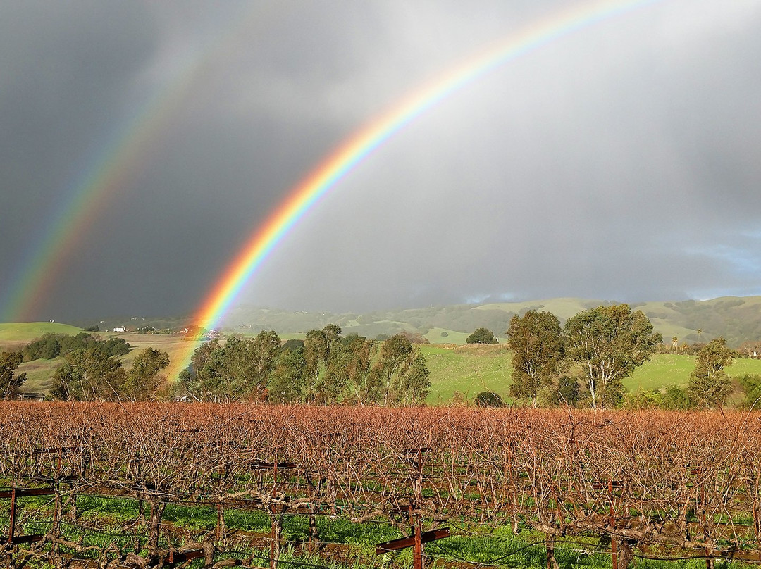 La Vie Dansante Wines-吉尔罗伊必去景点