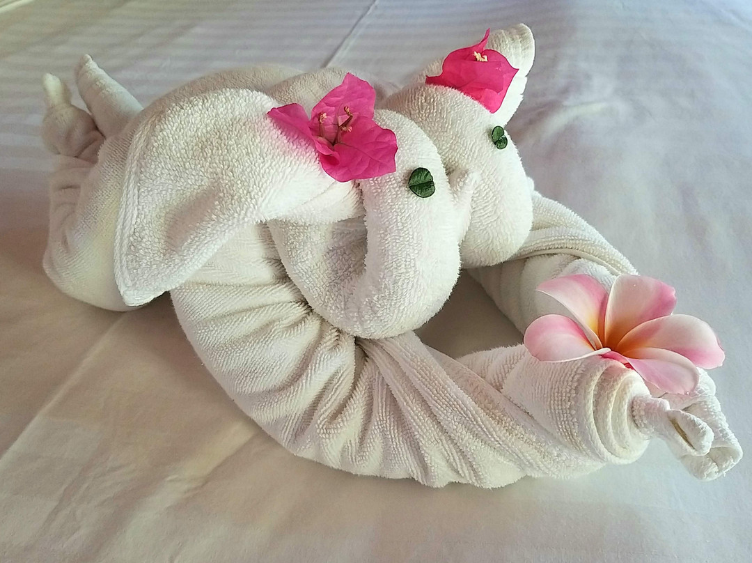 嘉雅普利温泉度假酒店主图