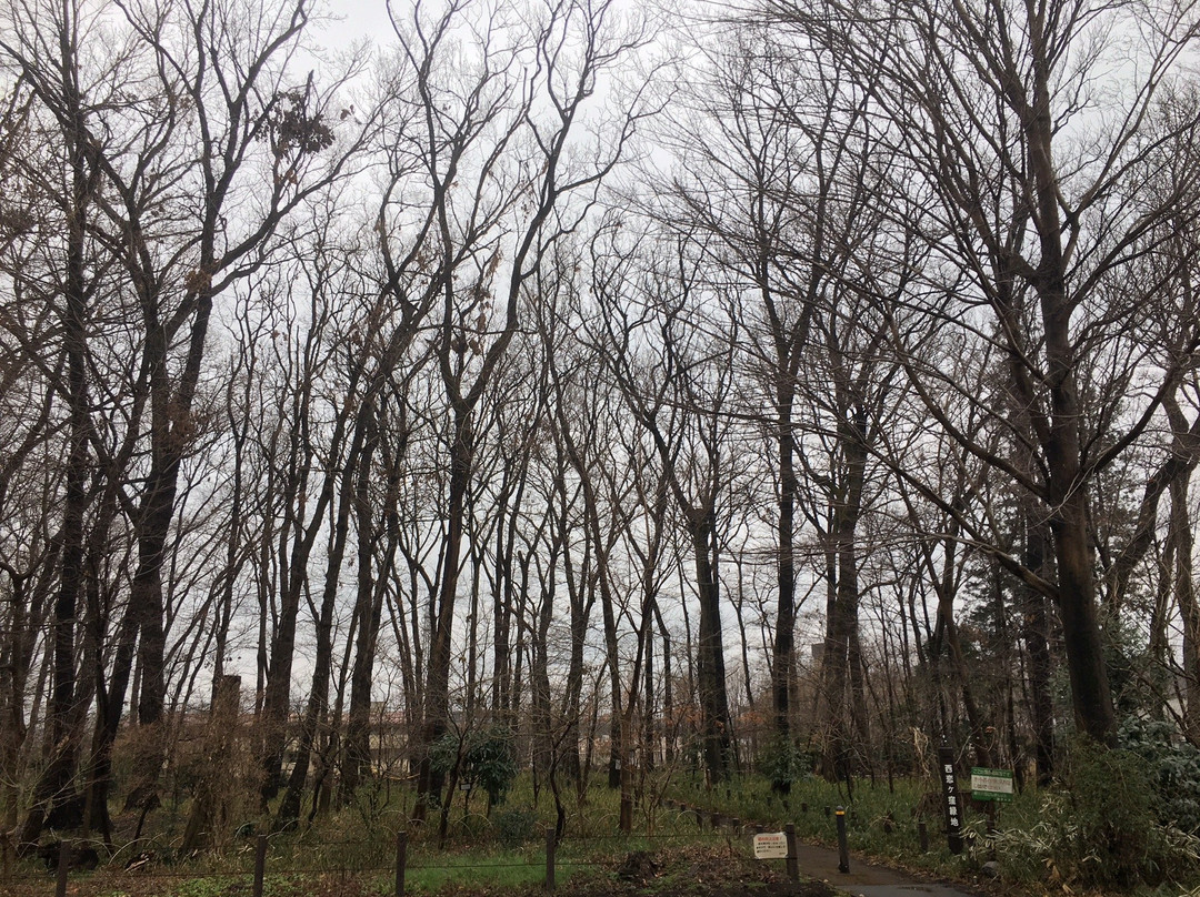 Nishikoigakubo Ryokuchi-国分寺市必去景点