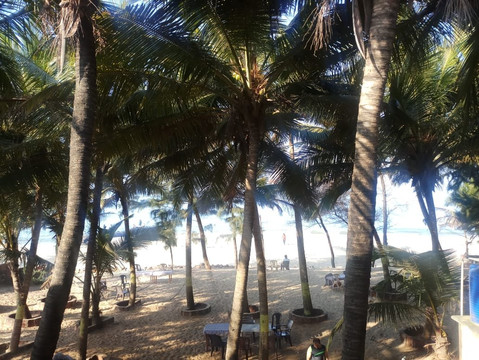 Rajanand Palace主图