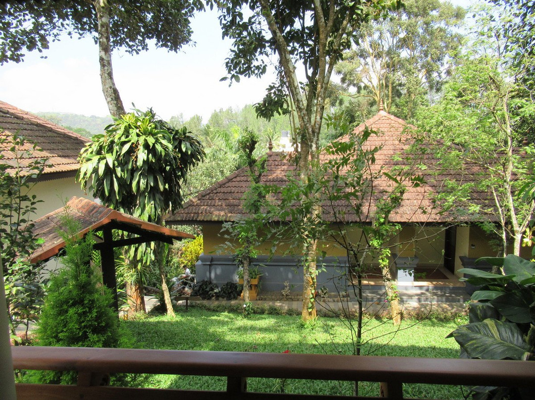 The Elephant Court主图