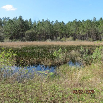 General James A. Van Fleet State Trail-Polk City必去景点