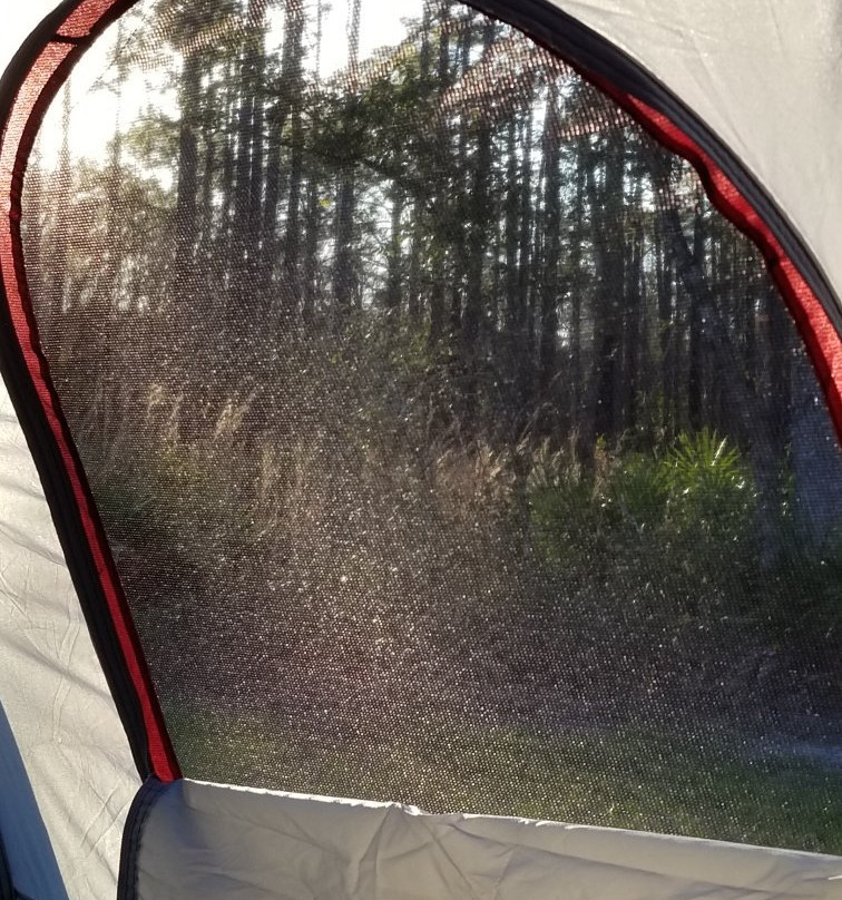 Colt Creek State Park-莱克兰必去景点