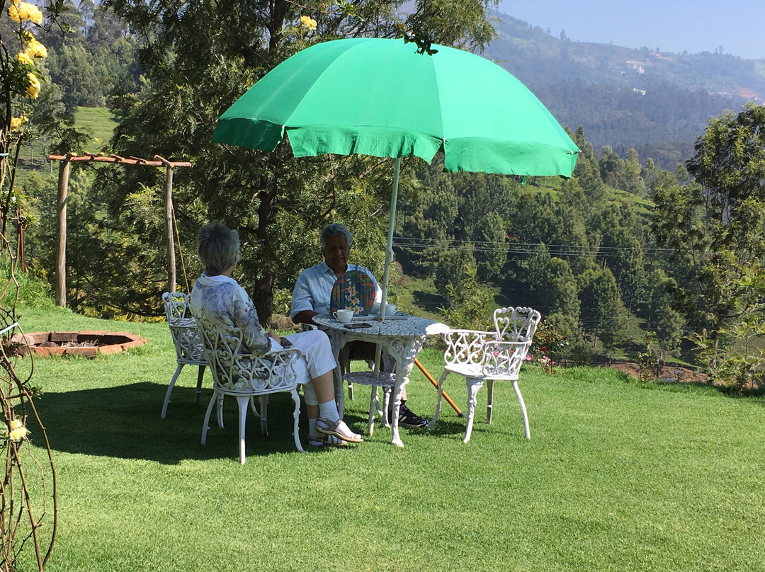 The Clive & Curzon主图