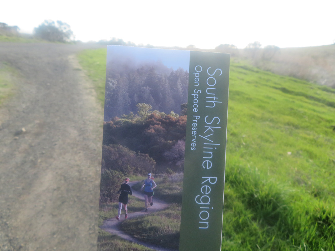Russian Ridge Open Space Reserve-雷德伍德城必去景点